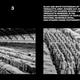 Imagen para el artículo titulado Una IA ha recreado las imágenes de un fotógrafo con resultados sorprendentes